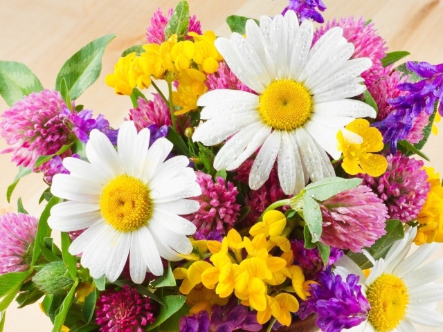 http://www.zastavki.com/pictures/640x480/2013/Nature___Flowers_Bouquet_of_field_flowers_042344_29.jpg