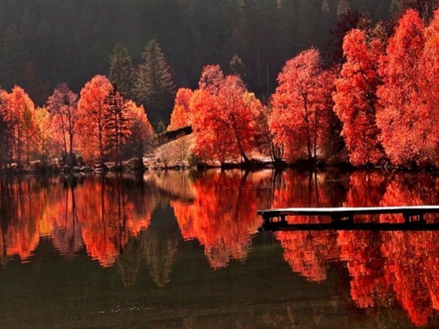 Красная осень на пруду