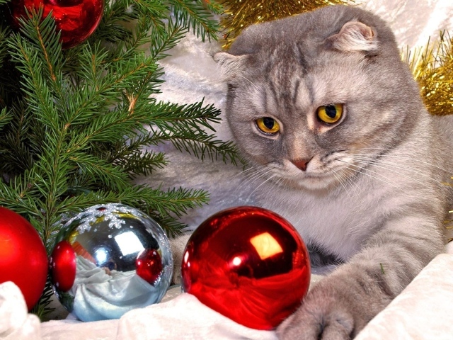 Christmas toy cat