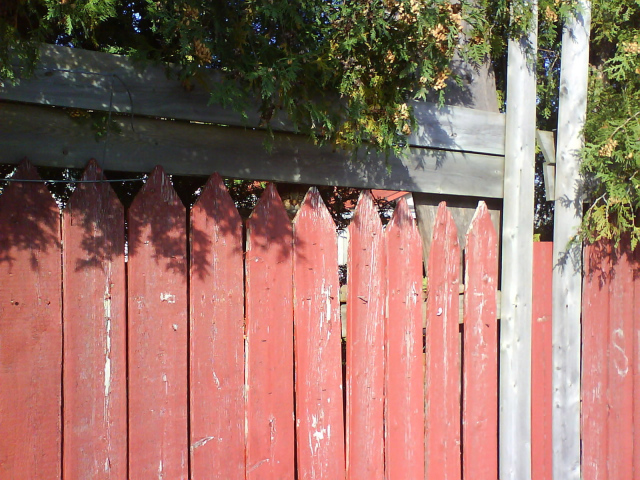 Найди кота на заборе