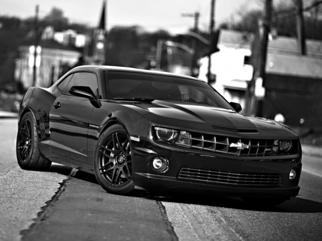 Camaro Ss Chevrolet Camaro Ss Black Cars Grayscale Wallpaper