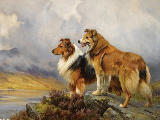 Painting with collie dog