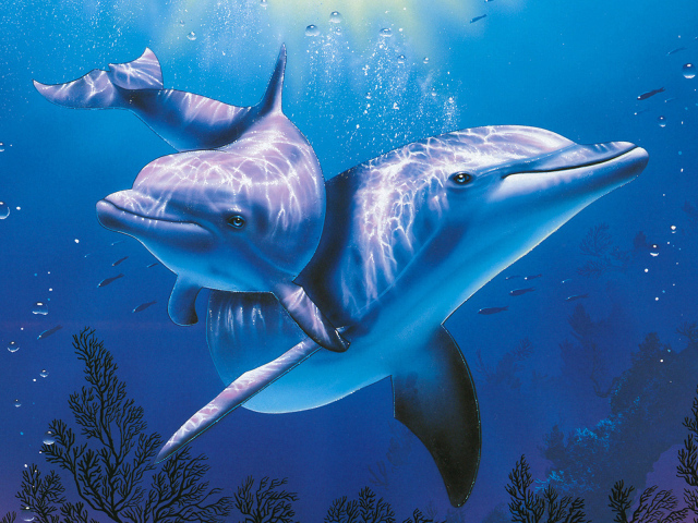 Дельфины в голубой воде