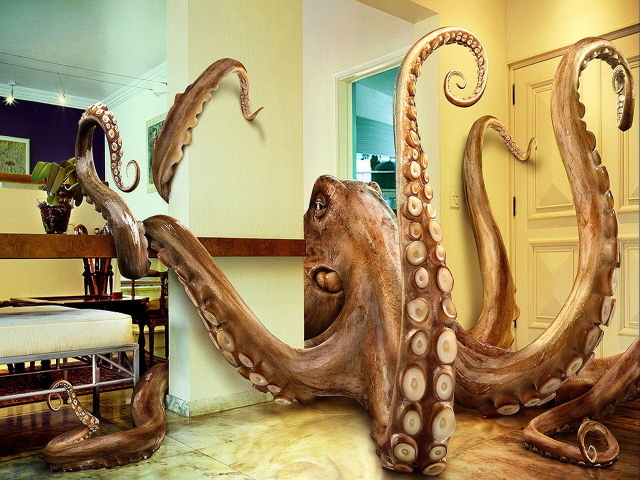 Giant octopus in the room