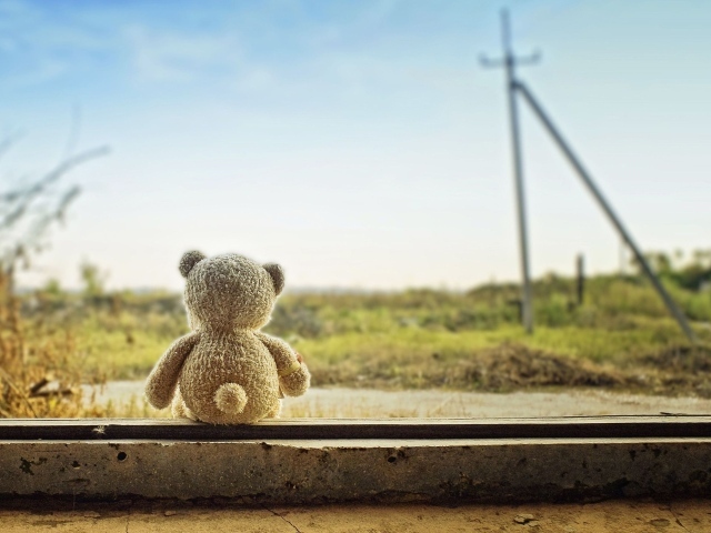 	   Teddy bear waiting for his mistress
