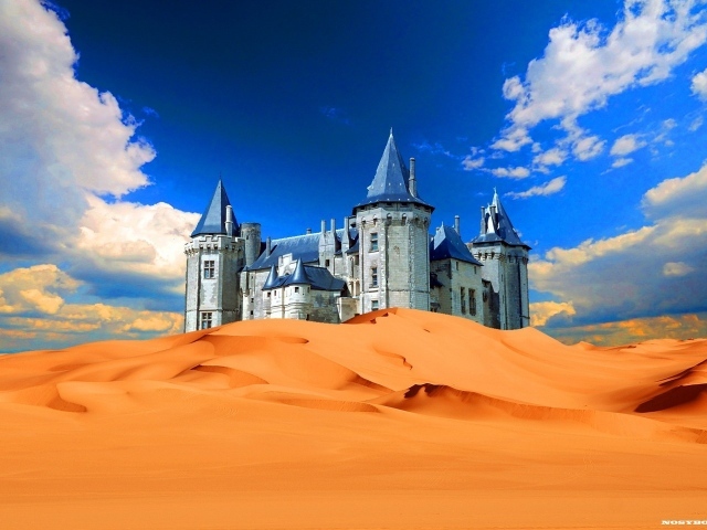 	   Palace in the desert