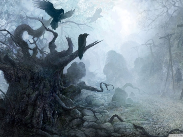 Мертвый лес из игры Ведьмак