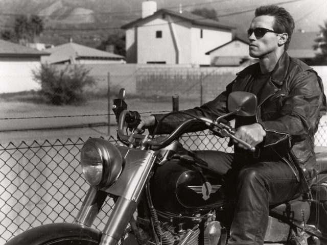	   Terminator 2 judgment day-Arnold Schwarzenegger