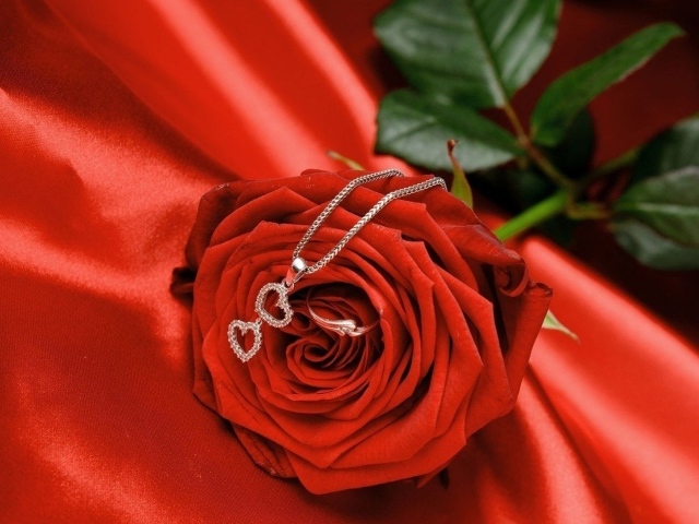 Red rose and pendant