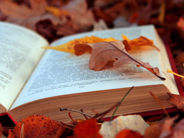 Книга на осенних листьях
