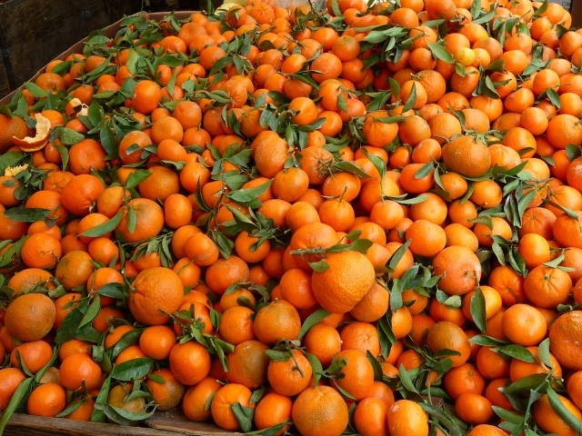 Tangerine background