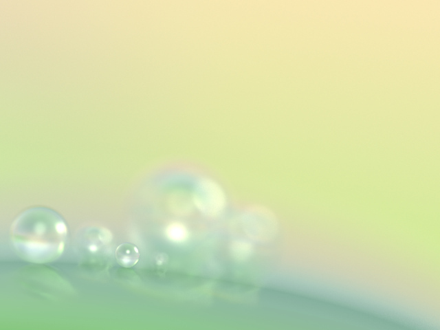 Drops of morning dew