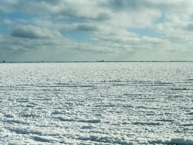 Черное море зимой Одесса