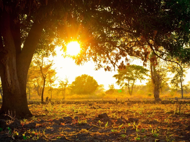 2014Nature___Seasons___Spring_Warm_sprin