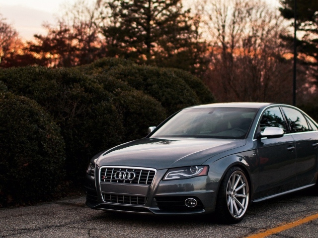 Темно серый Ауди у живой изгороди