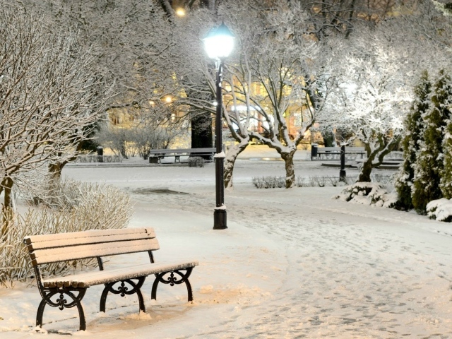 Winter evening in city park