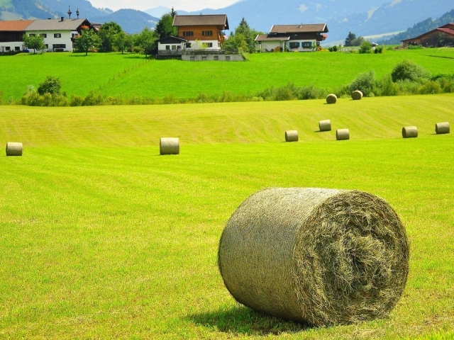Bales of hay on a field, Austria