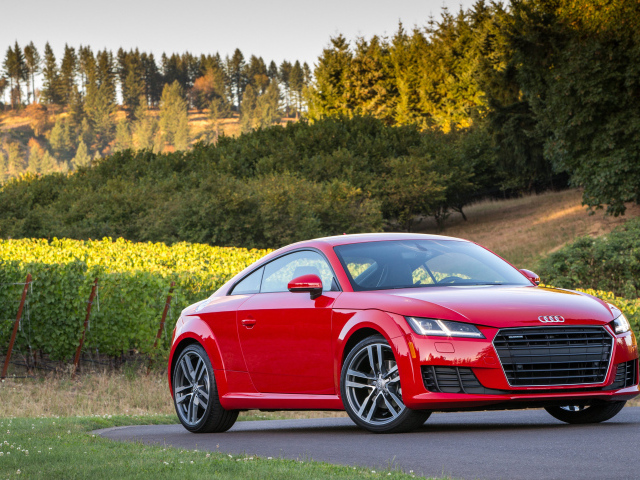 Red car Audi TT on the road