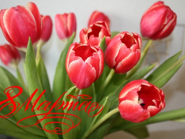 Букет тюльпанов для любимой на 8 марта
