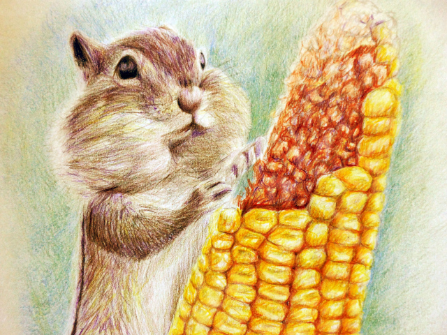 Painted chipmunk with corn