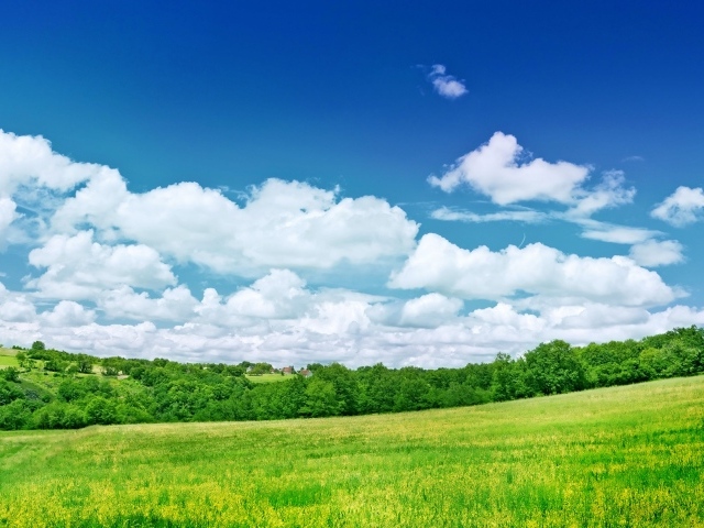 Голубое небо с белыми облаками над зеленым полем 