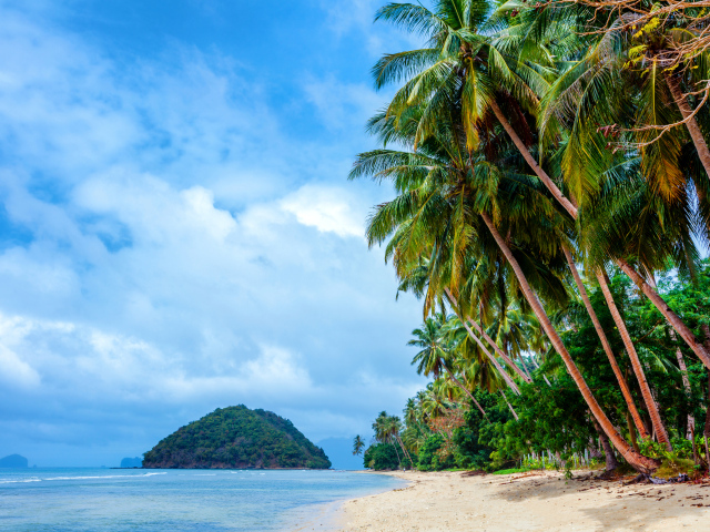 Пальмы на тропическом пляже на побережье Филиппин