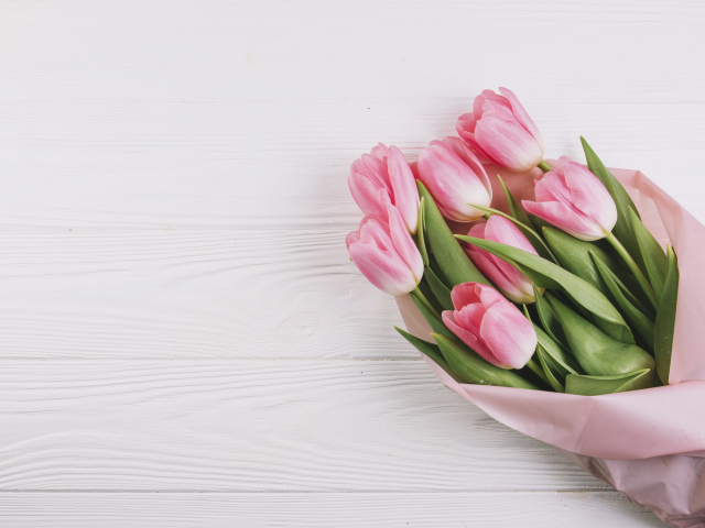 Bouquet of pink tulips, template for greeting card