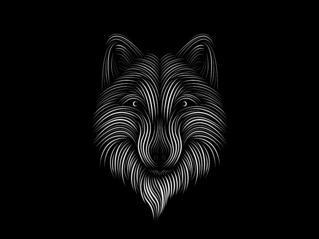 White wolf on black background