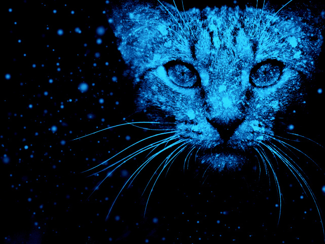 Неоновый фантастический кот на черном фоне 