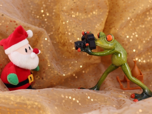 Green toad photographs Santa Claus