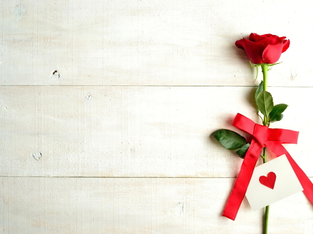 Red rose and Valentine on a white background, template for a Valentine's Day greeting card