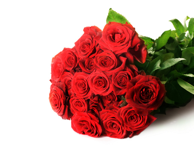Красивый букет красных роз на белом фоне