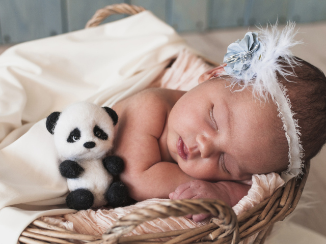 Маленькая спящая девочка с игрушечной пандой