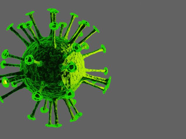 Green virus richard. Зеленый вирус. Паук зеленый фон вирус. Какие вирусы зеленого цвета. Белый экран с вирусами зеденын.