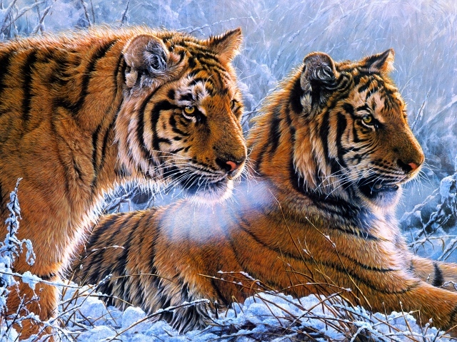Два нарисованных тигра на снегу