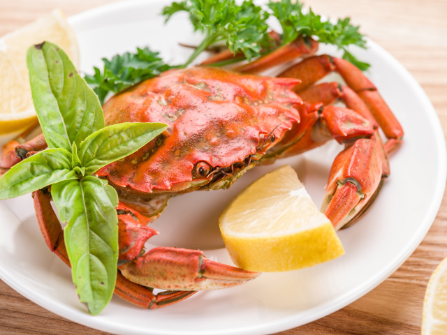 Cooked crab on a plate with lemon and herbs