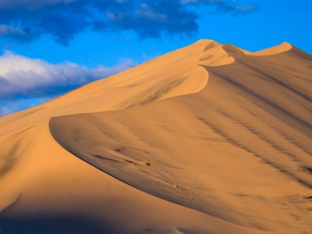 Sand dunes under the blue sky