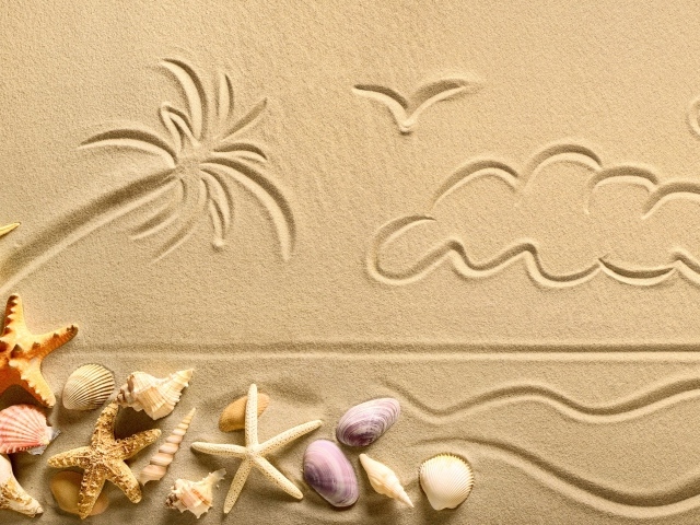 Рисунки на песке с ракушками и морскими звездами летом