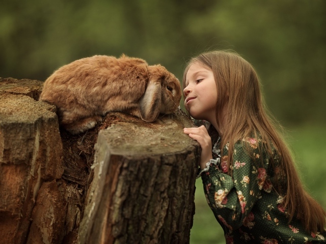 Маленькая девочка смотрит на декоративного кролика
