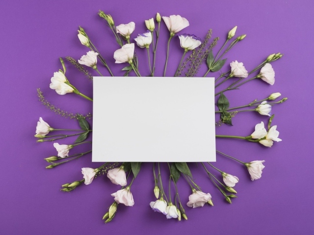 White eustoma flowers with white leaf on purple background