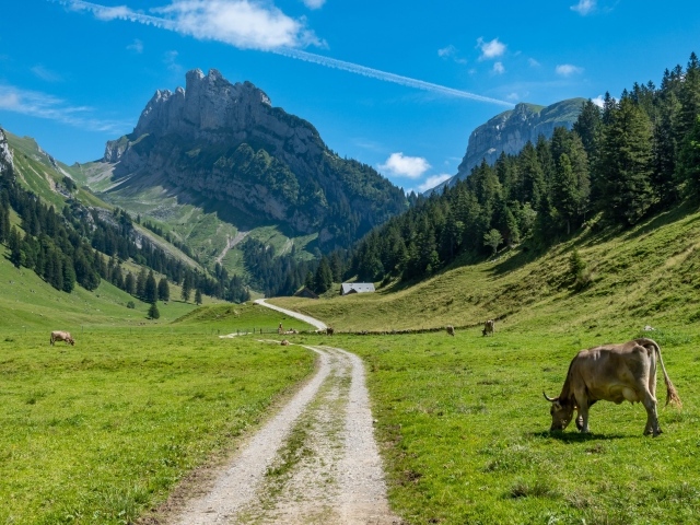 Красивый вид на гору под голубым небом летом 