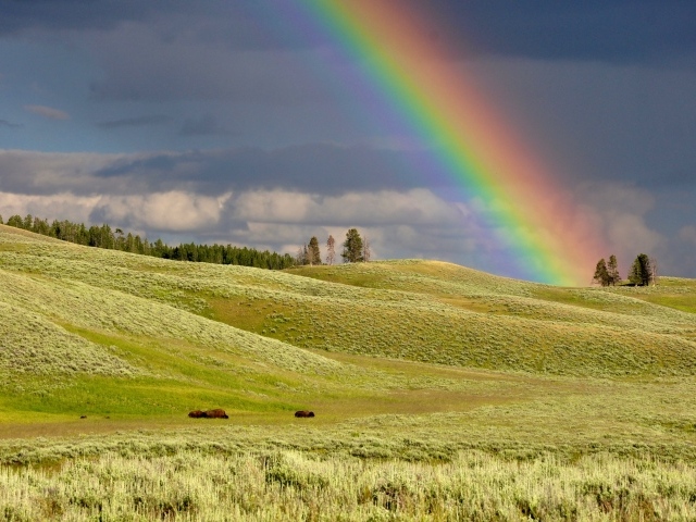 Разноцветная радуга над зеленым лугом