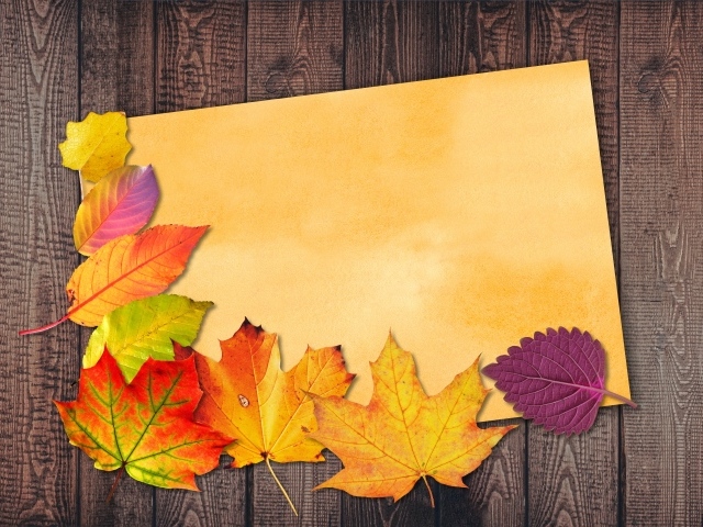 Sheet of paper with autumn leaves on wooden background