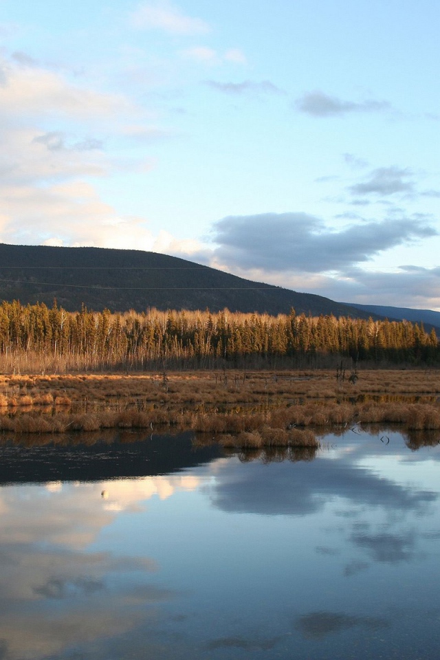 Поздняя осень
