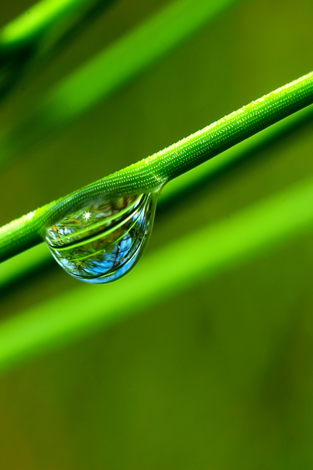 Windows Vista - обои на рабочий стол