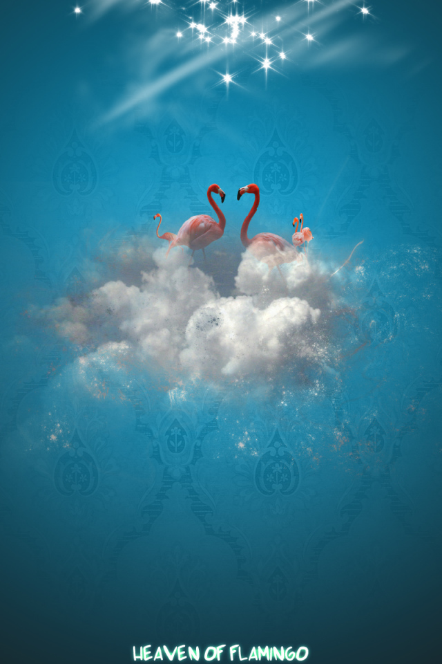 Рай фламинго