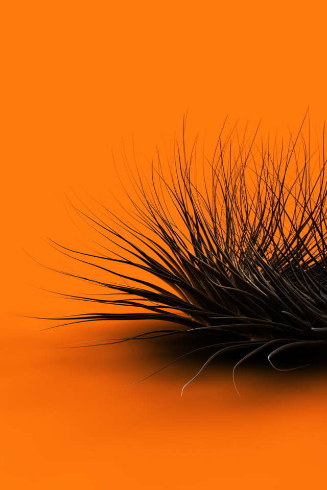 Оранжевый хаос