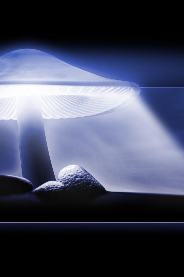 Защитный свет