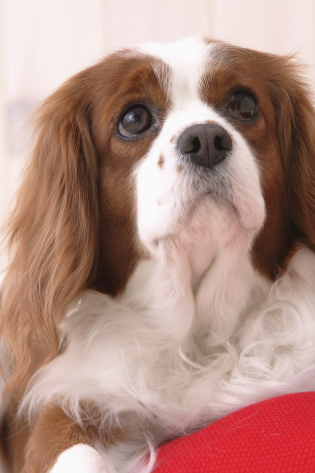 Пробуждение