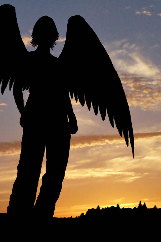 Тень ангела